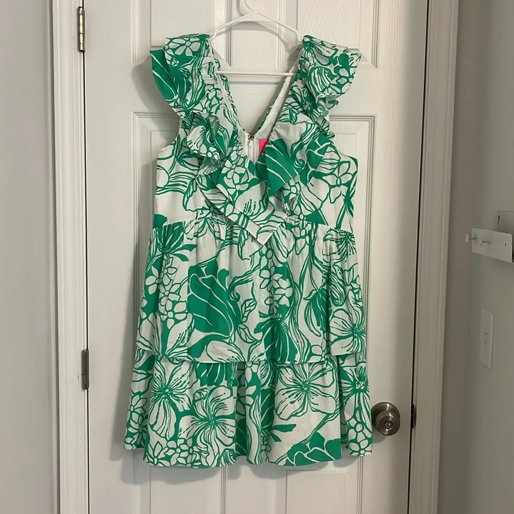 Lilly Pulitzer Dress - Picture 1 of 4